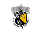 Bledisloe Cup